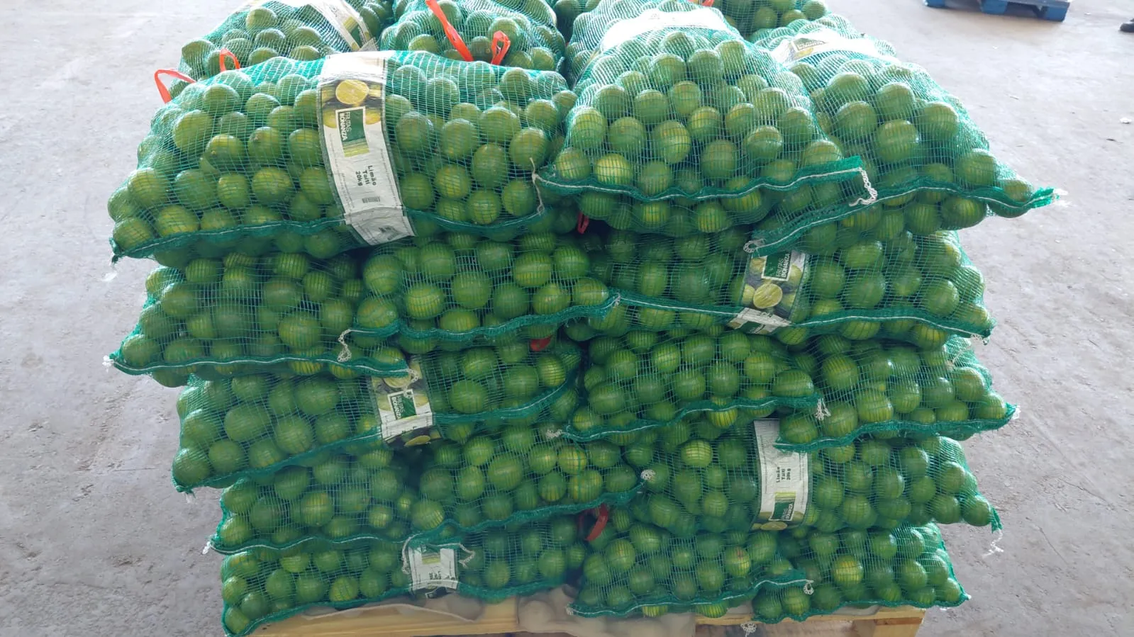 Produtos ATIVA